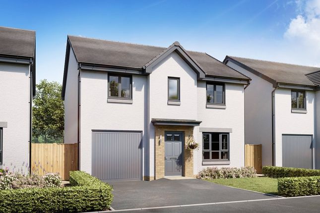 Thumbnail Detached house for sale in "Fenton" at Pinedale Way, Aberdeen