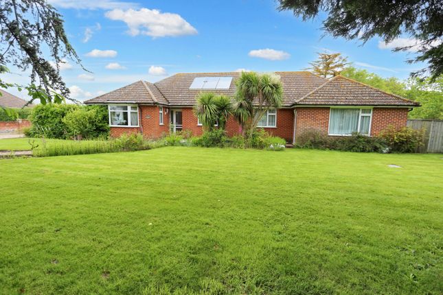 Thumbnail Detached bungalow for sale in High Road, Trimley St. Martin, Felixstowe