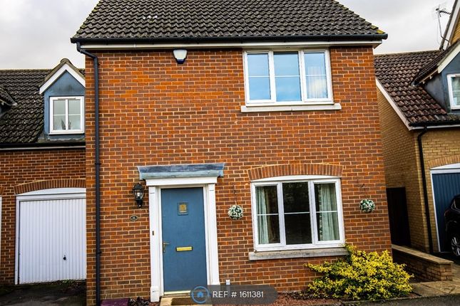 Thumbnail Semi-detached house to rent in Goldfinch Close, Stowmarket