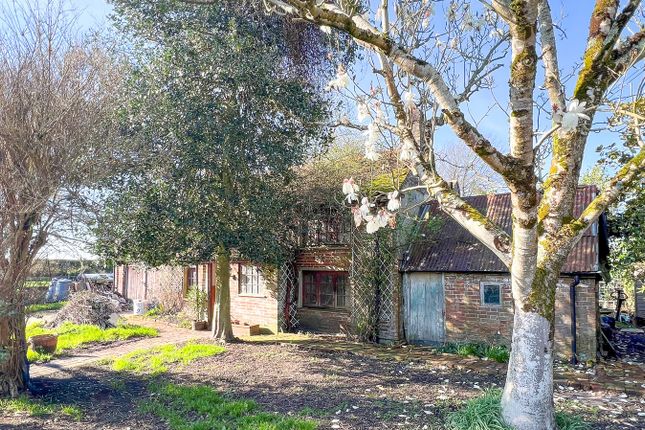 Suffield Cottage, Pages Lane, Brockenhurst photo 3