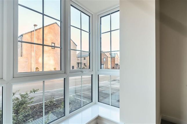 37, Lincoln Drive, Gedling photo 4
