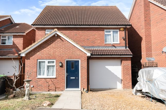 Thumbnail Detached house for sale in Trow Close, Cotton End, Bedford