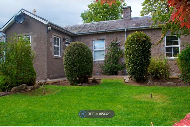 Thumbnail Detached house to rent in Wellwood Cottages, Aberdeen