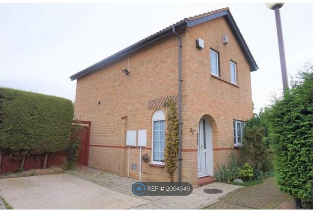 Thumbnail Detached house to rent in Bottesford Close, Emerson Valley, Milton Keynes