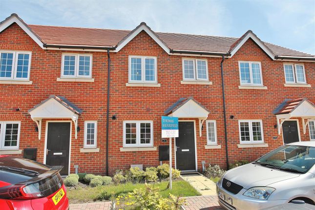 Thumbnail Terraced house to rent in Littleworth Road, Benson