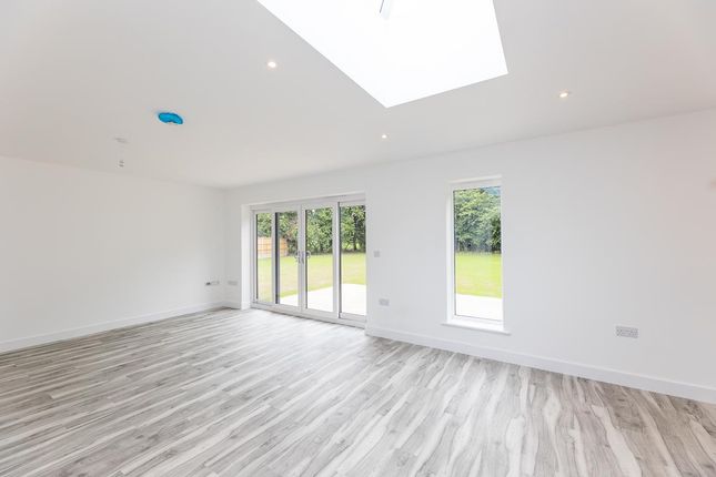 Living Area With Roof Light.Jpg