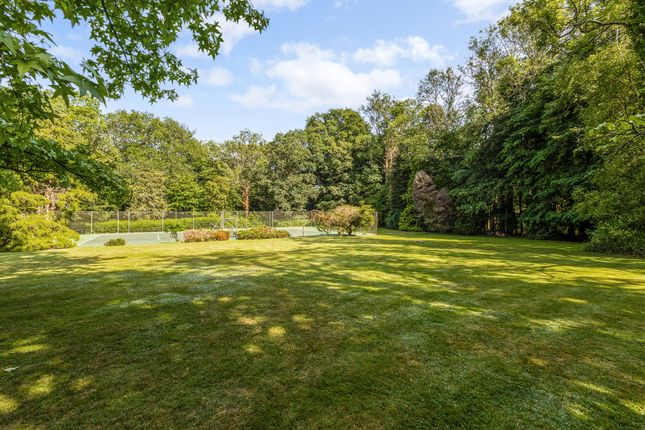 Langhurst Manor West, Pook Hill, Chiddingfold photo 4
