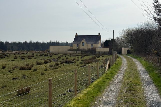 Hafod Y Grug, Nebo, Llanon photo 3