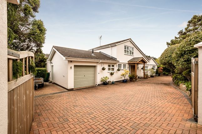 Thumbnail Detached house for sale in Park Lane, Budleigh Salterton