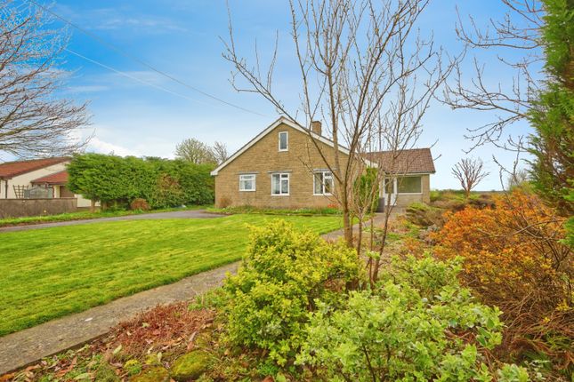Thumbnail Bungalow for sale in Priddy, Wells, Somerset