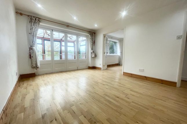 20, Orpington photo 4