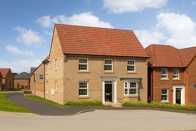 013 Bne_Doxfordgreen_Sunderland_Avondale_4Bed