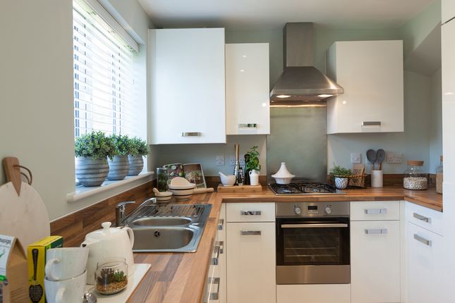 End terrace house for sale in "The Alnwick" at Yellowhammer Way, Calverton, Nottingham