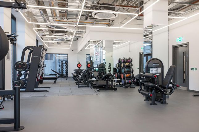 Gym.Jpg