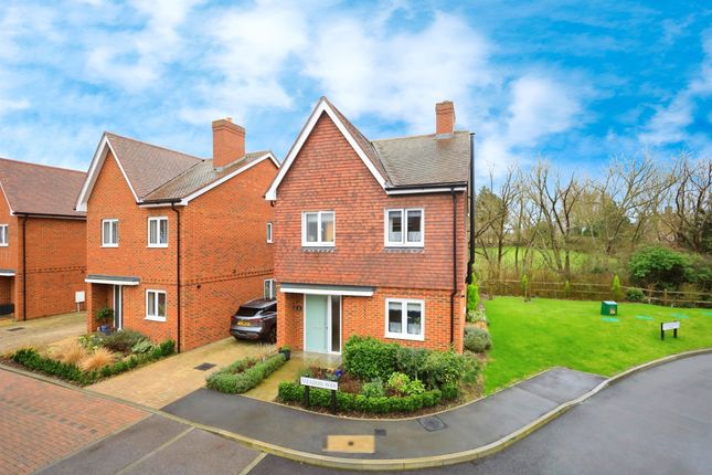 Thumbnail Detached house for sale in Meadow Way, South Chailey, Lewes