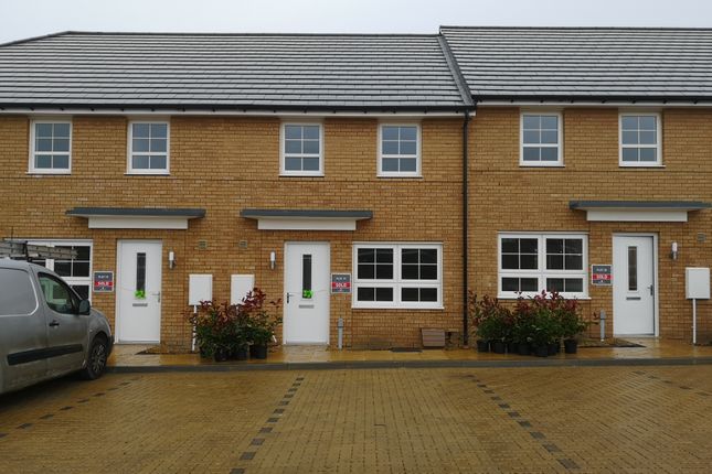 Thumbnail Terraced house to rent in Stonechat Lane, Whitfield, Dover
