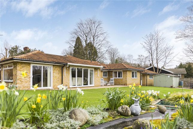 Bungalow for sale in St. Ives Close, Digswell, Welwyn