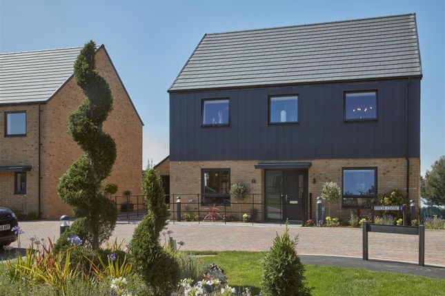 252242 Kelvedon  -  (144)_Edit.Jpg
