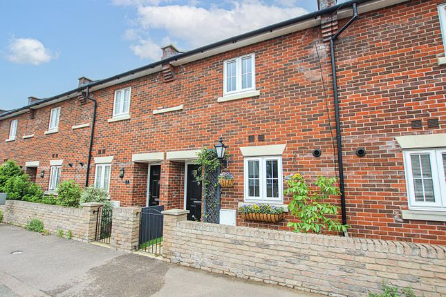 Thumbnail Terraced house for sale in Griffin Gardens, Exning Road, Newmarket