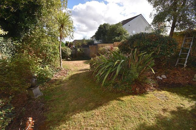17, Sylvania Drive, Exeter photo 2