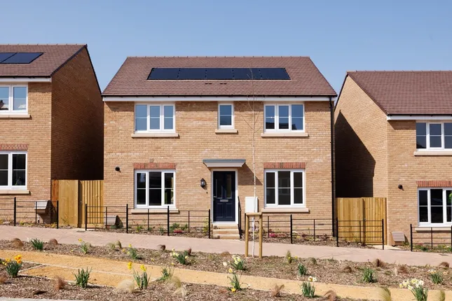 Taylor Wimpey - Orchard Grove