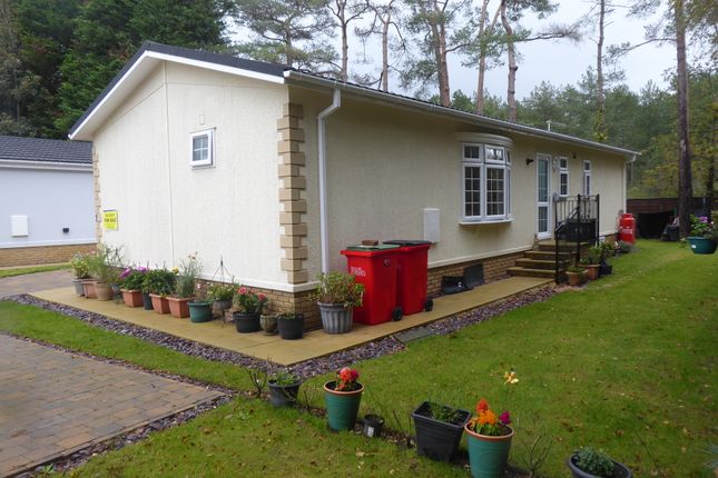 Mobile/park home for sale in New Forest Glades, Matchams Lane, Christchurch, Dorset