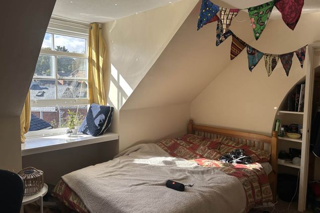 Exeter photo 5