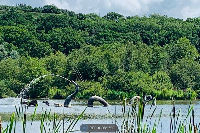 Enjoy The Local Dragon Fountain