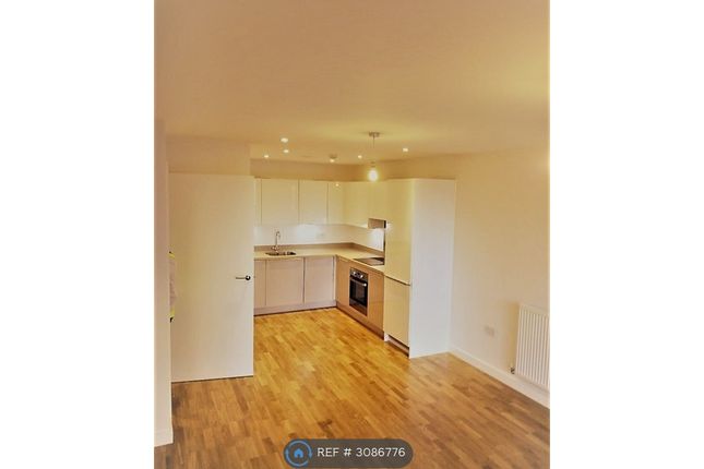 1 Bedroom Flat