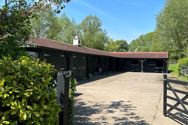 Stables