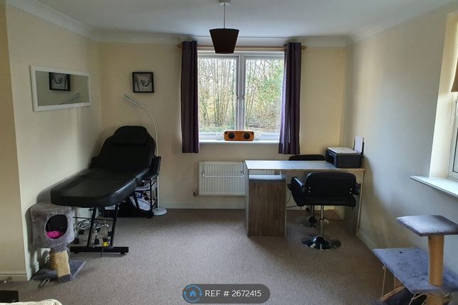 Spacious semi-detached house