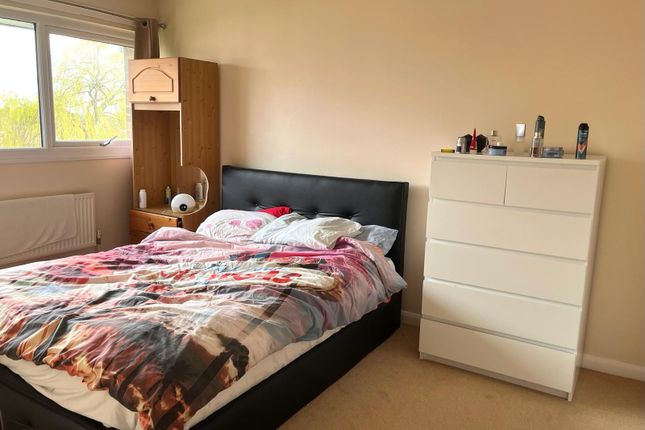 17, Peterborough photo 4