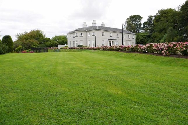 Thumbnail Detached house for sale in Laurencekirk