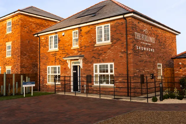 The Furlongs @ Holland Park