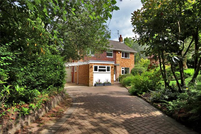 Thumbnail Detached house for sale in School Lane, St. Johns, Crowborough, East Sussex
