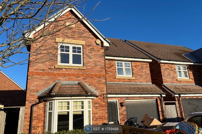 Thumbnail Detached house to rent in Bellerose Close, Coventry