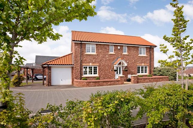 Thumbnail Detached house for sale in Blackthorn Lane, Cranbrook, Exeter
