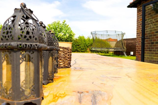 Patio 1.3.Jpg