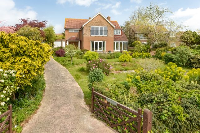 Thumbnail Detached house for sale in Little Anglesey Road, Gosport