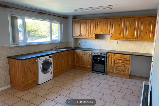Thumbnail Semi-detached house to rent in Floraville, Enniskillen