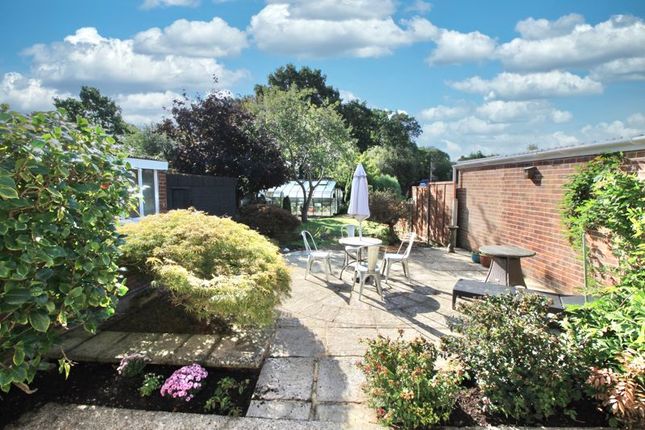 Detached bungalow for sale in Marvin Close, Botley, Southampton
