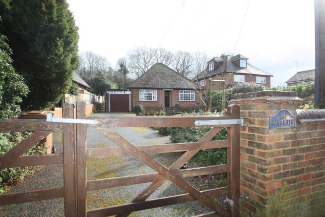 Thumbnail Bungalow to rent in Staceys Farm Road, Elstead, Godalming