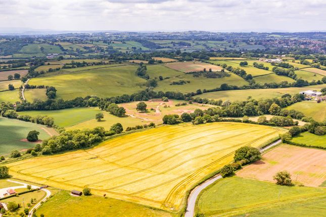 Dji_0700.Jpg