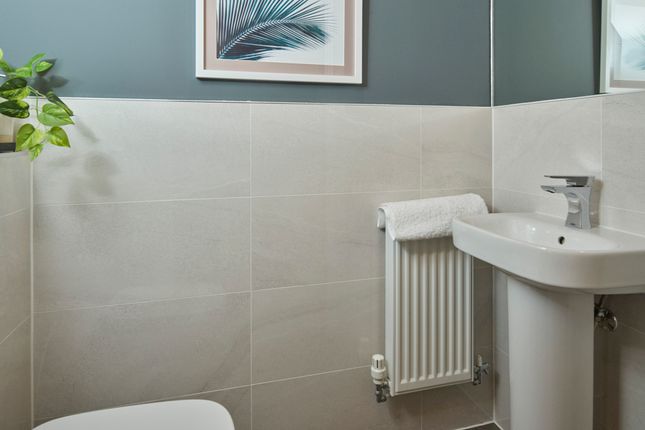 Showhome Photography