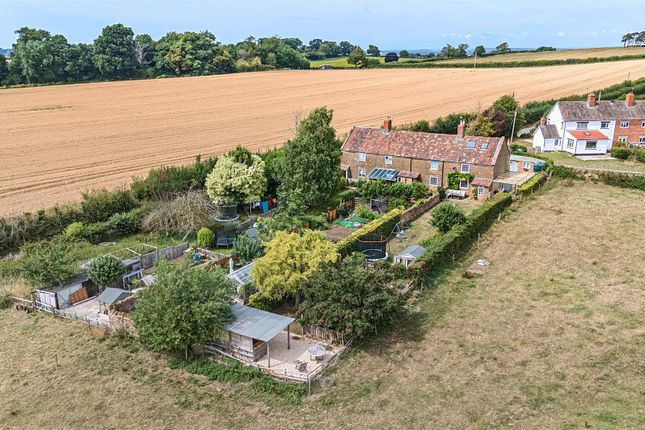 2, Windmill Cottages, Montacute photo 2