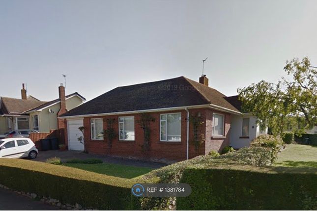 Thumbnail Bungalow to rent in Withycombe Park Drive, Exmouth