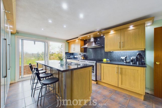 Treforgan Newydd, Cardigan photo 3
