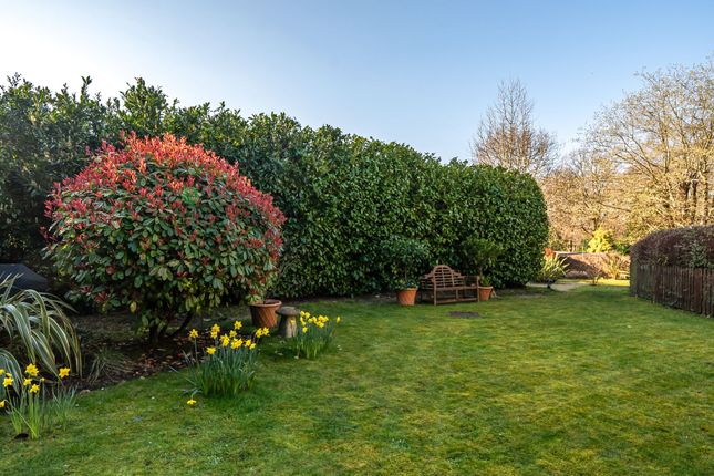 7 Gerardes Lodge Grayswood Road, Haslemere photo 4