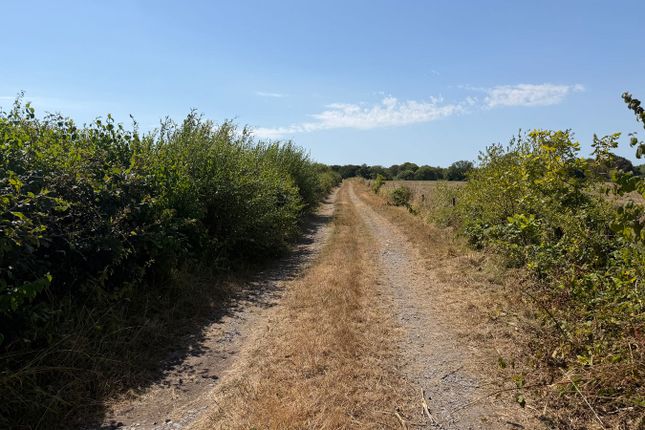 6.14 acres of Land at Drefach, Heol Blaenhirwaun, Llanelli photo 4