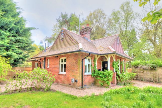 Thumbnail Bungalow to rent in The Lodge, Chequers Lane, Chequers Cottage, Cadmore End